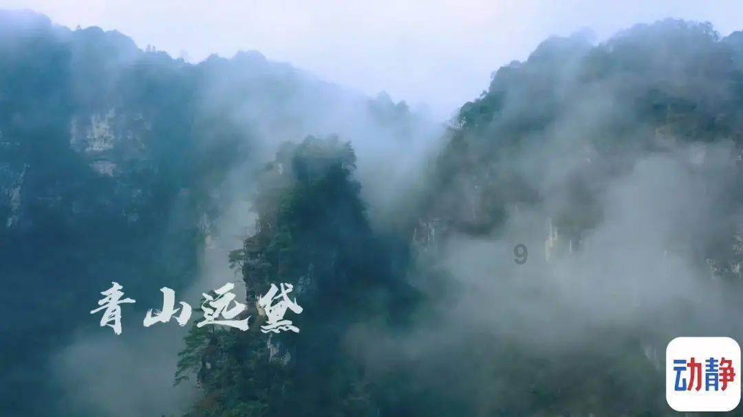 卡通考拉救援