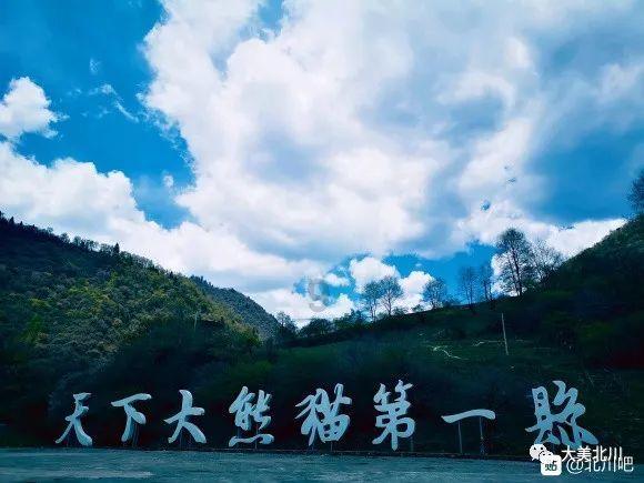 这里为什么用to 不定式!-高效的有问必答平台