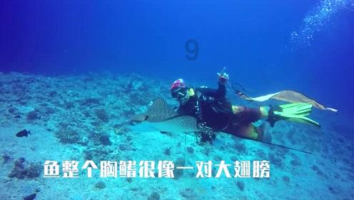 赵露思写真大片P太大？化妆师晒图被抓包，P图事故后直接删帖