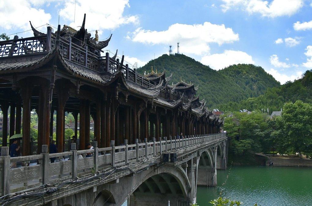 植物大战僵尸11