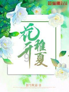 救援猫与武士